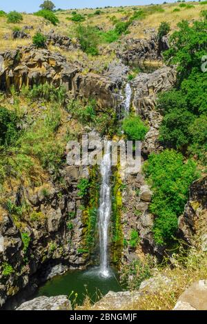 Vue sur la cascade de Zavitan, dans la réserve naturelle de la forêt de Yehudiya, les hauteurs du Golan, dans le nord d'Israël Banque D'Images