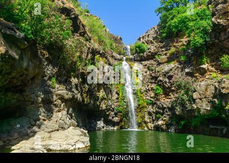 Vue sur la cascade de Zavitan, dans la réserve naturelle de la forêt de Yehudiya, les hauteurs du Golan, dans le nord d'Israël Banque D'Images