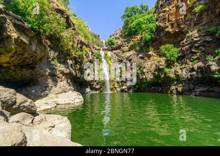 Vue sur la cascade de Zavitan, dans la réserve naturelle de la forêt de Yehudiya, les hauteurs du Golan, dans le nord d'Israël Banque D'Images