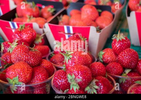 Gros plan de fraises mis sur une étagère de marché Banque D'Images