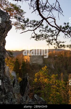 Vieille ruine Divci kamen avec roche et arbre au lever du matin. République tchèque Banque D'Images