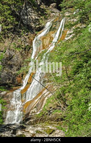 Cascades et Cascades dans le parc national d'Oetscher, Springtime Banque D'Images