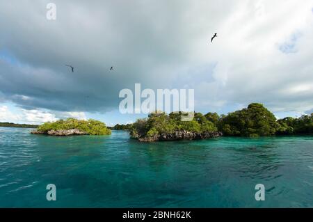 Oiseaux frégates (Fregata sp) survolant le Passe Gionnet, site du patrimoine naturel mondial, Aldabra Banque D'Images