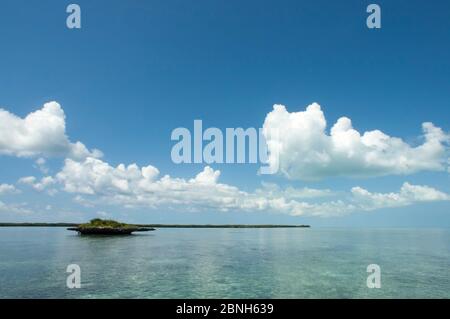 Le lagon d'Aldabra avec 'mcorail champignon', Site du patrimoine mondial naturel d'Aldabra, 2005 Banque D'Images