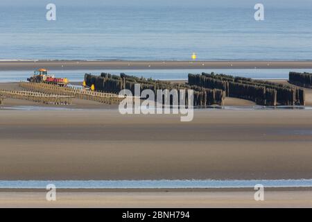 Paysage plage montrant l'élevage des moules, la réserve naturelle de la Baie de Somme, Picardie, France, avril 2015 Banque D'Images