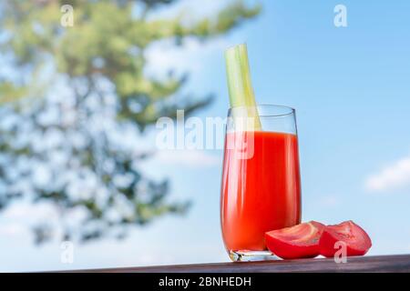 un verre de jus de tomate frais avec du céleri, photographié à l'extérieur, contre un ciel bleu et des branches d'arbre. Légumes naturels biologiques et sains . Banque D'Images