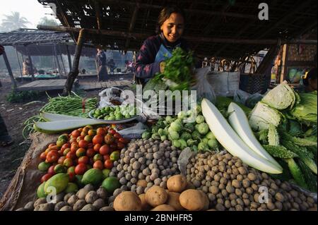 Femme vendant des légumes au marché de Sittwe, État de Rakhine, Myanmar 2012 Banque D'Images