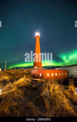 Northern Lights montrant au-dessus de Andenes Andenes, Phare, île Andoya, Océan Atlantique Nord, Norvège Janvier 2016 Banque D'Images