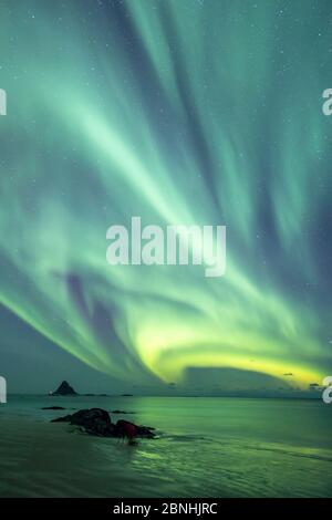 Northern Lights montrant au-dessus de plage près de Bleiksoya Bird Island près de Andenes, île Andoya, Nord de l'océan Atlantique, de la Norvège, janvier 2016 Banque D'Images