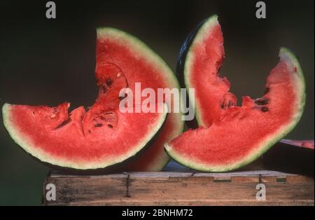 Vue de tranches mûres de pastèques sur une surface en bois avec un arrière-plan noir Banque D'Images