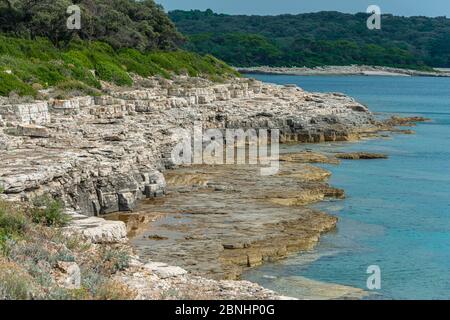 Vue à couper le souffle sur les falaises rocheuses et la côte de l'île de Brijuni, Istrie, Croatie Banque D'Images