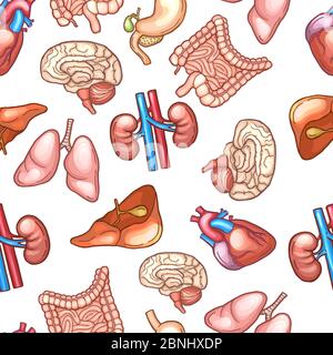 Motif sans couture avec différents organes humains Illustration de Vecteur