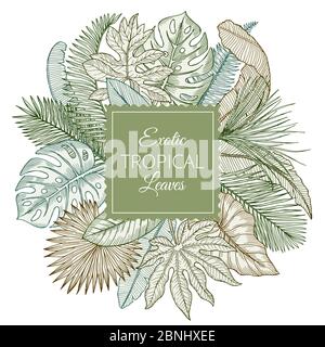 Arrière-plan avec différentes feuilles tropicales exotiques et palmiers de la jungle. Illustrations vectorielles dessinées à la main Illustration de Vecteur