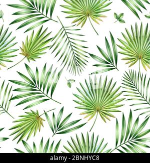 Motif tropical sans coutures aquarelle. Palmier exotique, éventail, feuilles de noix de coco isolées sur blanc. Feuillage exotique. Illustration botanique dessinée à la main pour Banque D'Images
