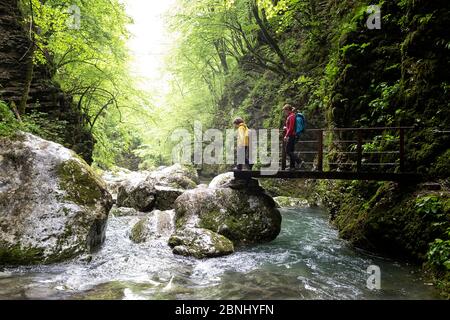 Mère et fils marchant dans les gorges de la rivière traversant le pont à la cascade de Kozjak, Slovénie Banque D'Images