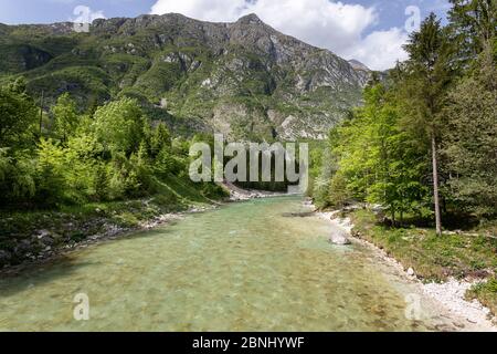 La rivière Soca, vallée de la soca, Slovénie, Europe Banque D'Images