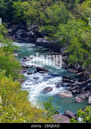 Vue d'en haut tandis que la rivière serpente le long du canyon dans la réserve nationale de Little River Canyon Banque D'Images