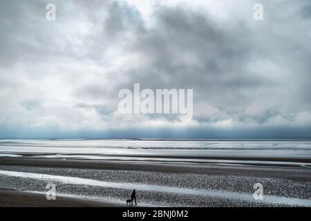 Chien seul marchant le long de la plage de sable, en appréciant la solitude au bord de la mer par le canal de Bristol à Burnham-on-Sea, Somerset, Royaume-Uni Banque D'Images