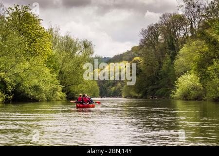 Canoë sur la rivière Wye, Royaume-Uni. Avril 2015. Banque D'Images