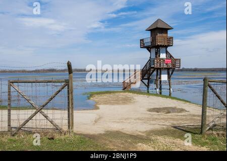 Tour d'observation pour ornithologues, parc national du lac Neusiedl, région de Hansag, Autriche, avril. Banque D'Images