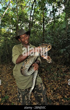 Le boa terre de Dumeril (Afrantophis dumerili) tenu par un guide, Nosy Be, Madagascar Banque D'Images