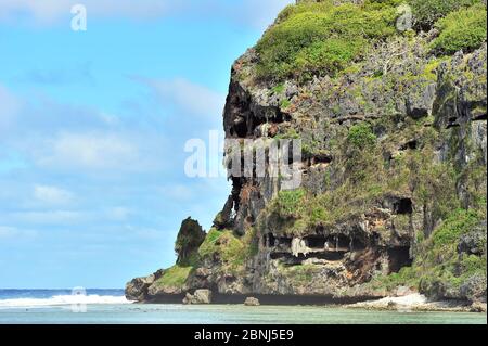 Falaise Toarutu sur la côte est de l'île de Rurutu, archipel des Australes, Polynésie Française Banque D'Images