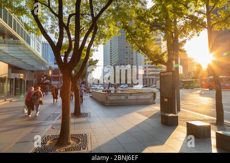 Scène de rue, Séoul, Corée du Sud, Asie Banque D'Images