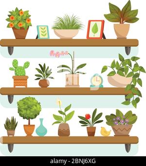 Plantes d'origine et fleurs décoratives en pots, debout sur les étagères Illustration de Vecteur