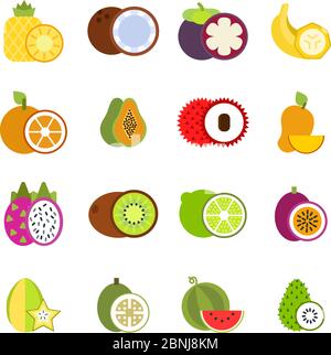 Illustrations de fruits tropicaux en style vectoriel Illustration de Vecteur