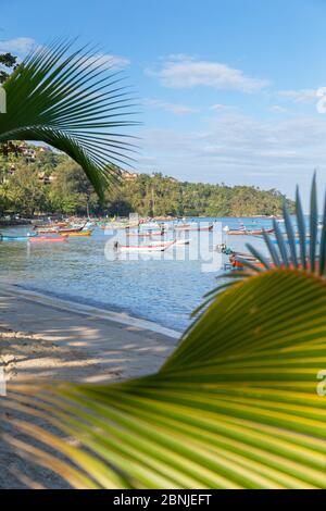 Bang Tao Beach, Phuket, Thaïlande, Asie du Sud, Asie Banque D'Images