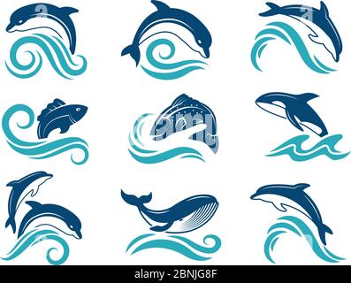 Photos de dauphins et d'autres animaux marins. Modèle de logo Illustration de Vecteur