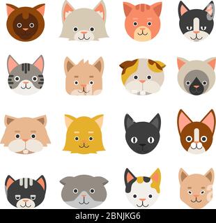 Différents visages de chats Illustration de Vecteur