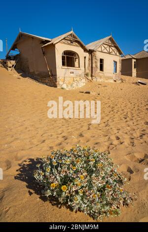 Ville fantôme de Kolmanskop près de Luderitz en Namibie. Banque D'Images