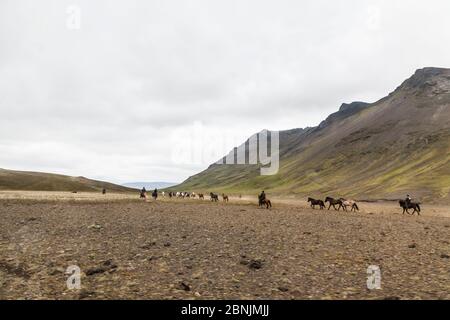 Les cavaliers du groupe d'élevage de chevaux islandais en paysage, l'Islande, juillet 2012. Banque D'Images