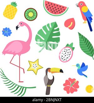 Fleurs et fruits exotiques tropicaux et oiseaux. Les illustrations vectorielles s'isolent Illustration de Vecteur