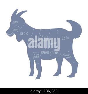 Joli ferme française de chèvre vecteur boucher graphique clipart. Cuisine de ferme campagnard à la main, chic et tirade. Illustration d'un animal de ferme à chevon Illustration de Vecteur