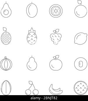 Illustrations linéaires de divers fruits Illustration de Vecteur