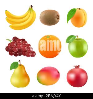 Différentes illustrations de fruits. Les images vectorielles réalistes s'isolent sur le blanc Illustration de Vecteur