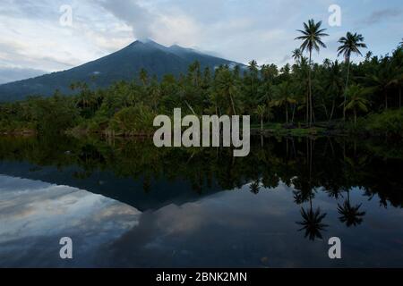 Volcan du mont Gamalama. Volcan actif sur l'île de Ternate se reflétant dans un étang. Îles de Maluku, Indonésie 2008 Banque D'Images