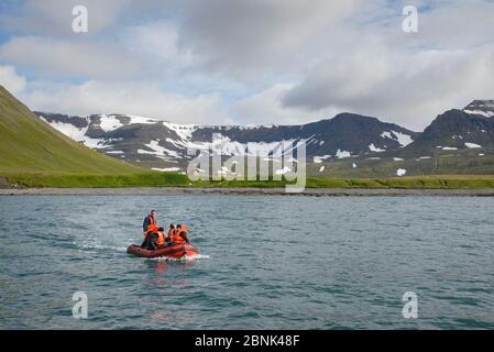 Bateau gonflable picking up Résidents de maisons d'été, Hornstrandir, Islande. Juillet Banque D'Images