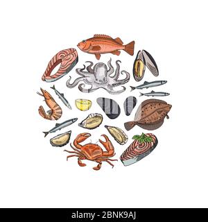 Éléments vectoriels de fruits de mer dessinés à la main sous forme d'illustration circulaire Illustration de Vecteur