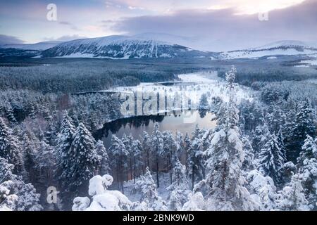 Vue sur Uath Lochans avant le lever du soleil après de fortes chutes de neige, le Parc National de Cairngorms, en Écosse, au Royaume-Uni, en novembre 2015. Banque D'Images