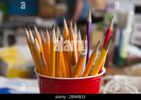 Tasse en plastique rouge pleine de crayons en bois aiguisés. ©Marjorie Kamys Cotera/Daemmrich Photographie Banque D'Images