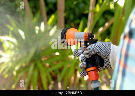 Senior d'un homme arrosoir des plantes avec un tuyau dans le jardin Banque D'Images