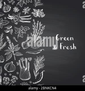 Les herbes et épices vectorielles dessinées à la main sur fond noir de tableau noir avec un emplacement pour l'illustration du texte Illustration de Vecteur