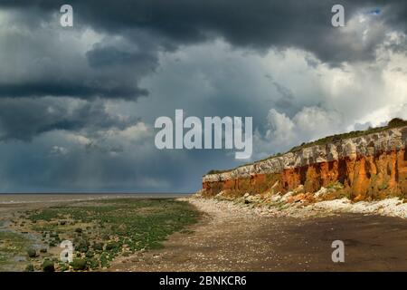 Hunstanton Cliffs à marée basse avec chien marcheur sur la plage ouest Norfolk, Royaume-Uni, avril. Banque D'Images