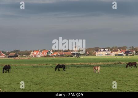 Vue sur Holum sur l'île d'Ameland, en mer du Nord Banque D'Images