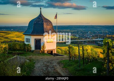Maison de vignoble sur le Bubenhäuser Höhe dans le Rheingau, entre Rauenthal et Eltville, partie des caves de vinification de l'État de Hessian Monastère d'Eberbach, ambiance d'automne dans le mois d'octobre doré, Banque D'Images