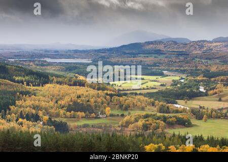 Vue sur la vallée de la Spey vers le Kincraig, Parc National de Cairngorms, en Écosse, au Royaume-Uni, en octobre 2013. Banque D'Images