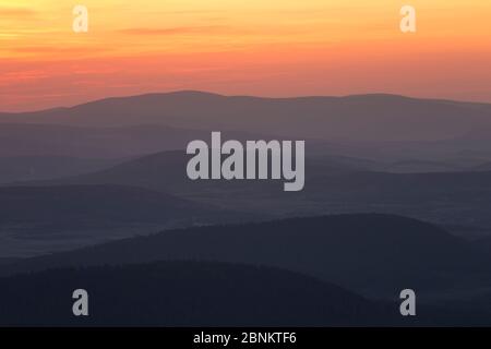 Lever du soleil sur la forêt d'Abernethy, Parc National de Cairngorms, en Écosse, Royaume-Uni, mai 2016. Banque D'Images